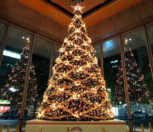 dich-vu-trang-tri-cay-thong-noel-tai-Cau-Giay