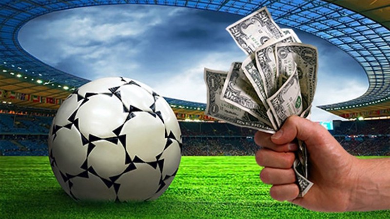 Everything You Need to Know About melidia bet 9